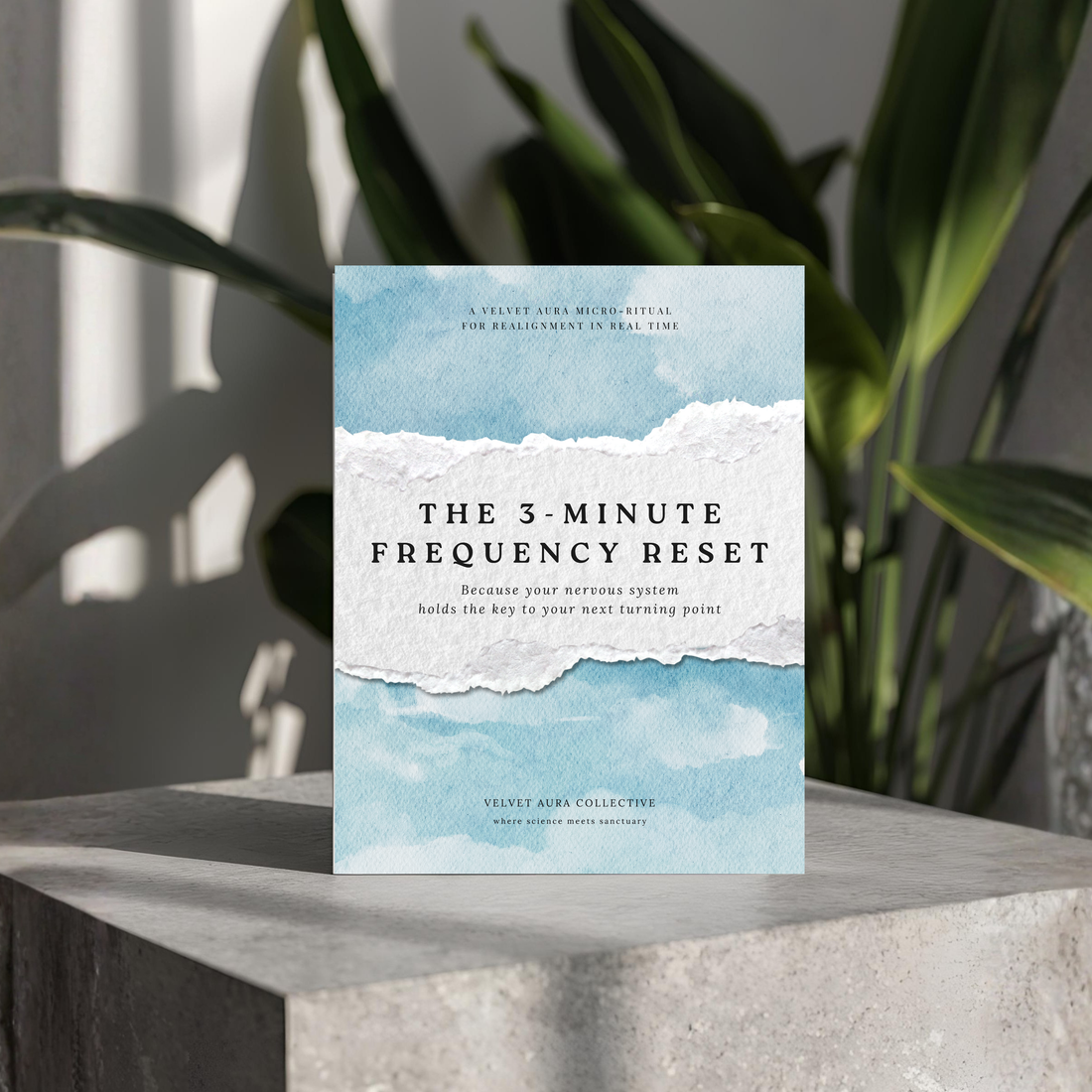 The 3-Minute Frequency Reset